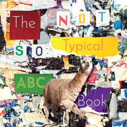 The Not So Typical ABC Book cover